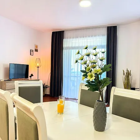 Kamelia 676 Durres